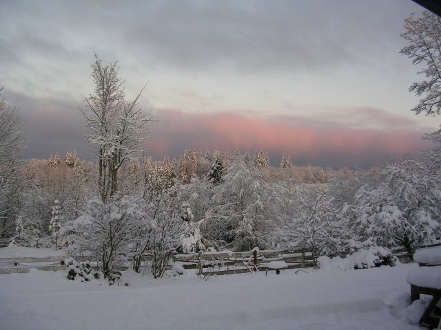 Ranch snow late afternoon